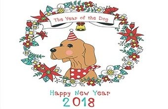 Çin Astrolojisi'ne göre Köpek yılına hazır mısınız